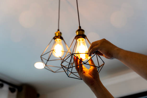 Best Electrician for Home Renovation  in Homedale, ID